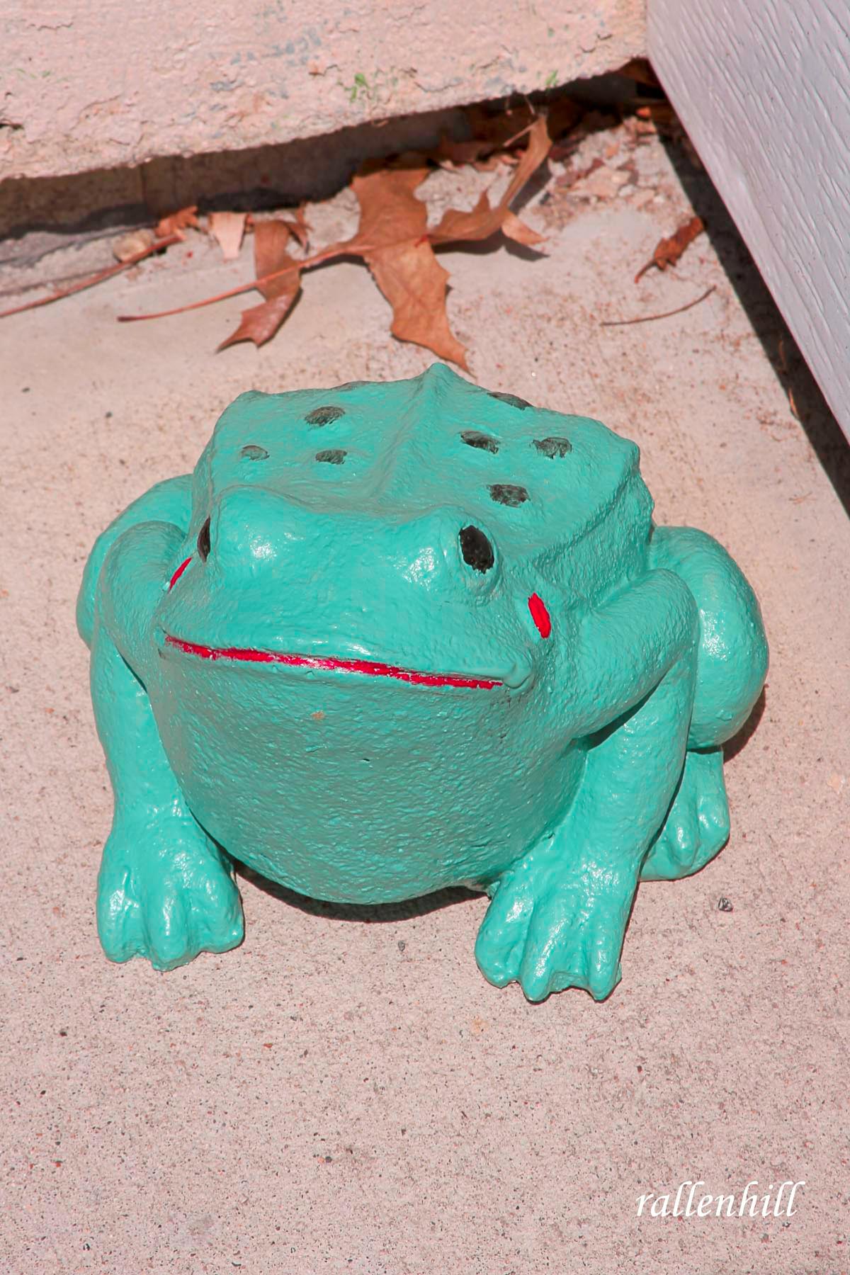 frog