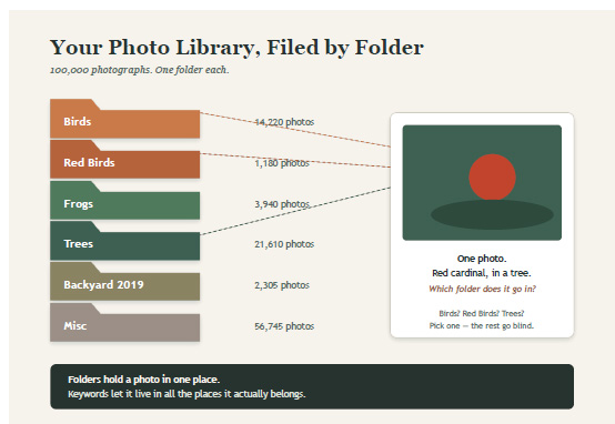 Photo library